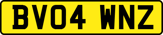 BV04WNZ