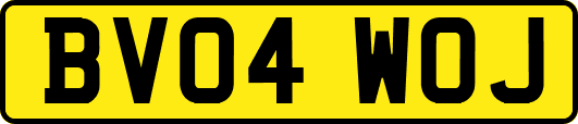 BV04WOJ