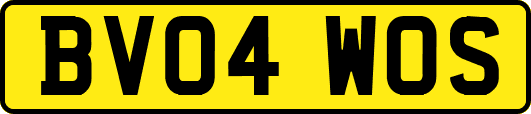 BV04WOS
