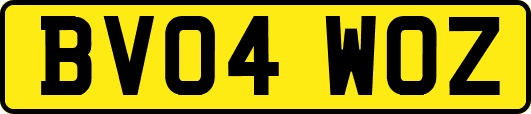 BV04WOZ