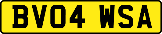 BV04WSA