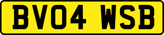 BV04WSB