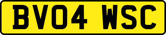 BV04WSC