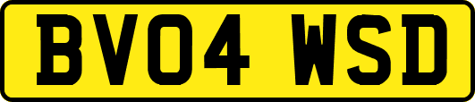 BV04WSD
