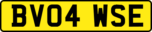 BV04WSE
