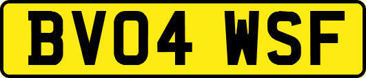 BV04WSF
