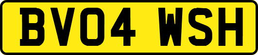 BV04WSH