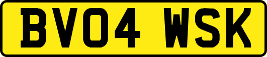 BV04WSK