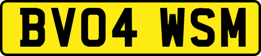 BV04WSM
