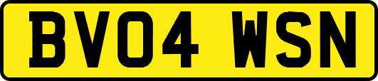BV04WSN