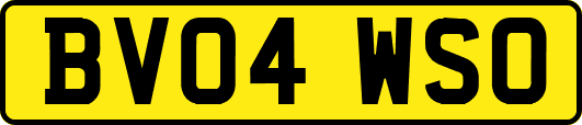 BV04WSO