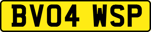 BV04WSP