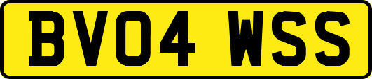 BV04WSS
