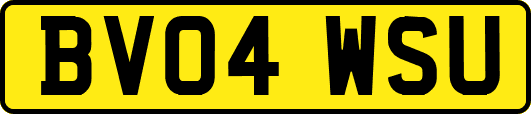 BV04WSU