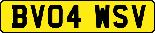 BV04WSV