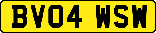 BV04WSW
