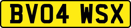 BV04WSX