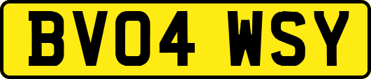 BV04WSY