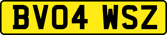 BV04WSZ
