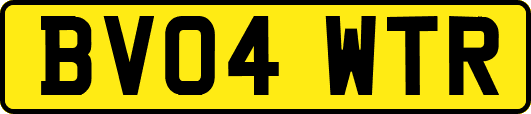 BV04WTR