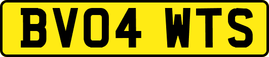 BV04WTS