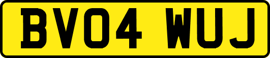 BV04WUJ