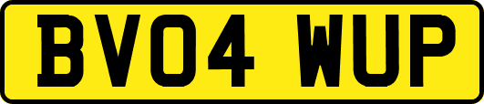 BV04WUP