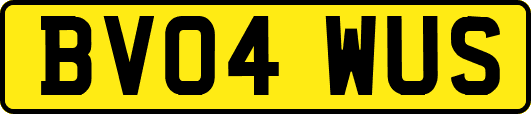 BV04WUS
