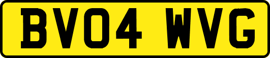 BV04WVG