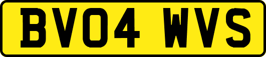 BV04WVS