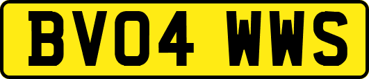 BV04WWS