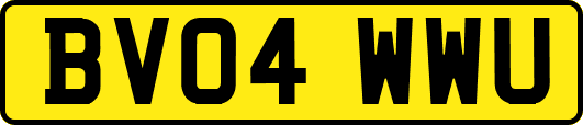 BV04WWU