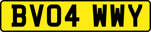 BV04WWY