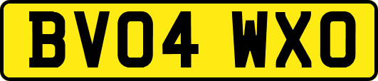 BV04WXO