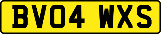 BV04WXS
