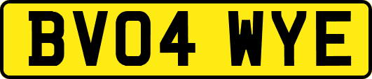 BV04WYE