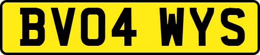 BV04WYS