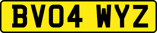 BV04WYZ