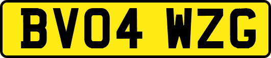 BV04WZG