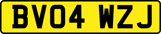 BV04WZJ