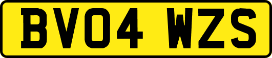 BV04WZS