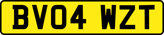 BV04WZT