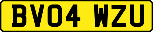 BV04WZU