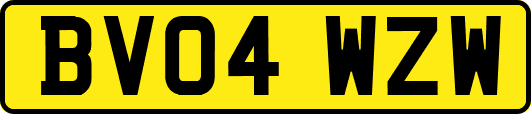 BV04WZW