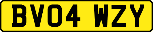 BV04WZY