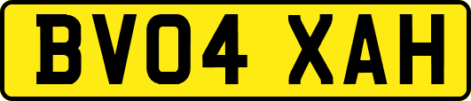 BV04XAH