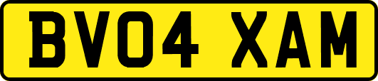 BV04XAM