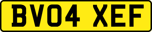 BV04XEF