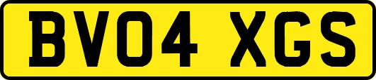 BV04XGS