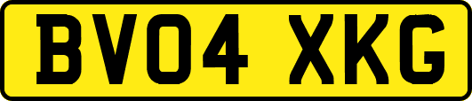 BV04XKG
